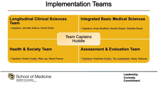 diagramofimplementationteams