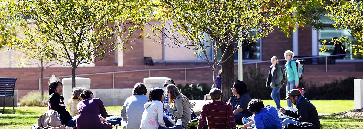 studentsinthequadonsunnyday