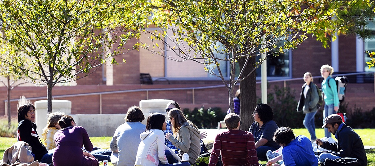 studentsinquadonsunnyday