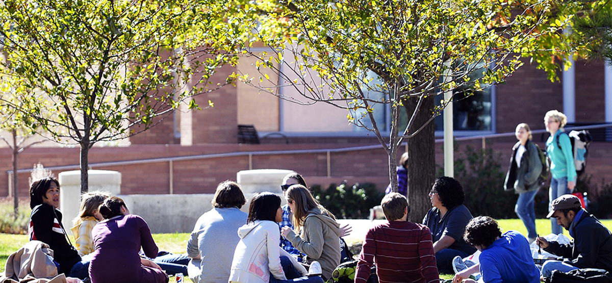 studentssittingandtalkingundertreesineducationquadonsunnyday