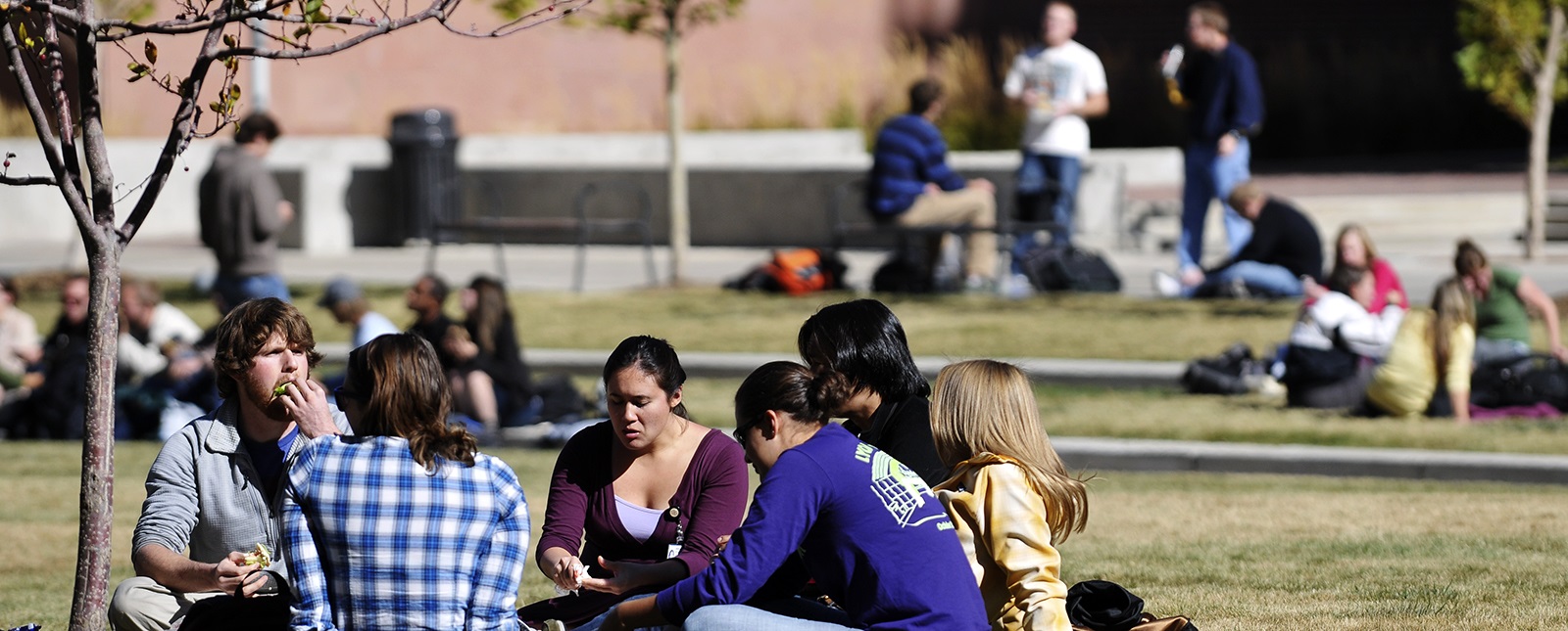 studentssittinginsunnyquad