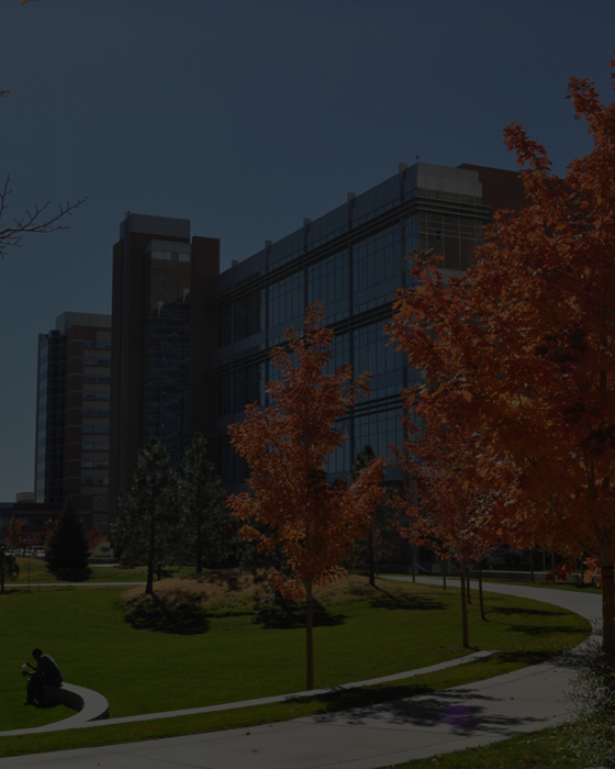 Glassofficebuildingwithorangefalltrees