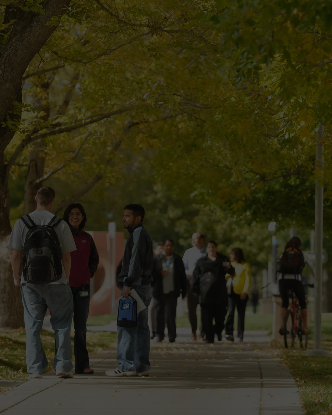 Variousgroupsofstudentschatonmainwalkwayofcampusunderneathfalltrees