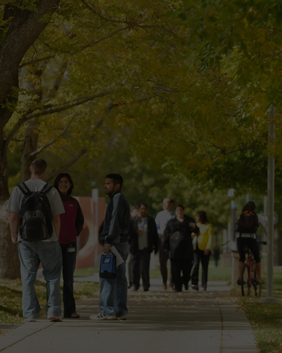 Variousgroupsofstudentschatonmainwalkwayofcampusunderneathfalltrees