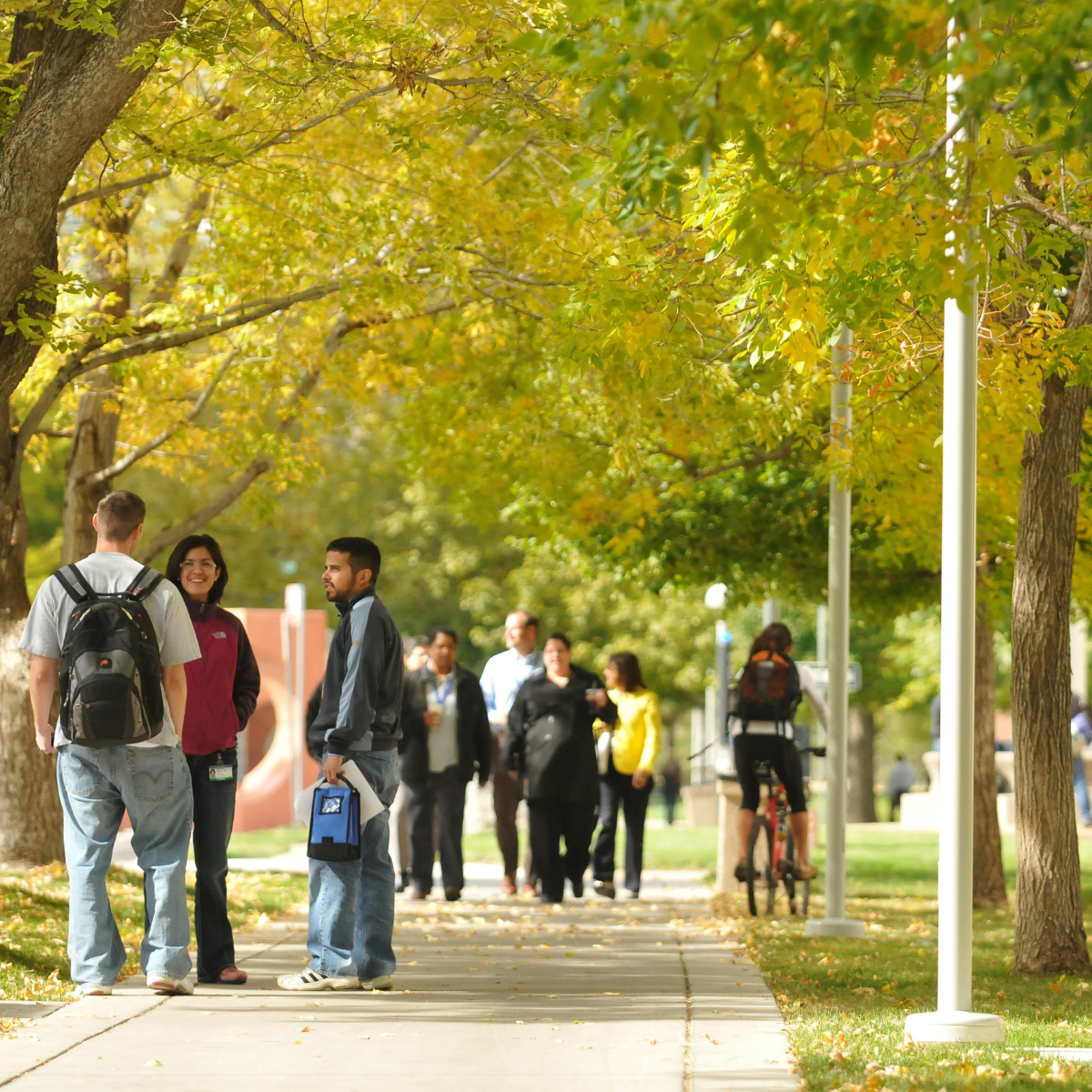 Peopletalkunderfalltrees