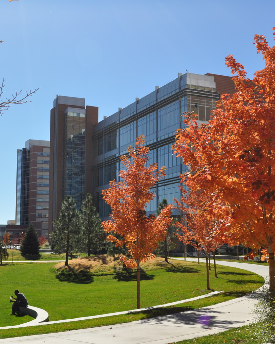 largeglassofficebuildingsurroundedbyamberandredfalltrees