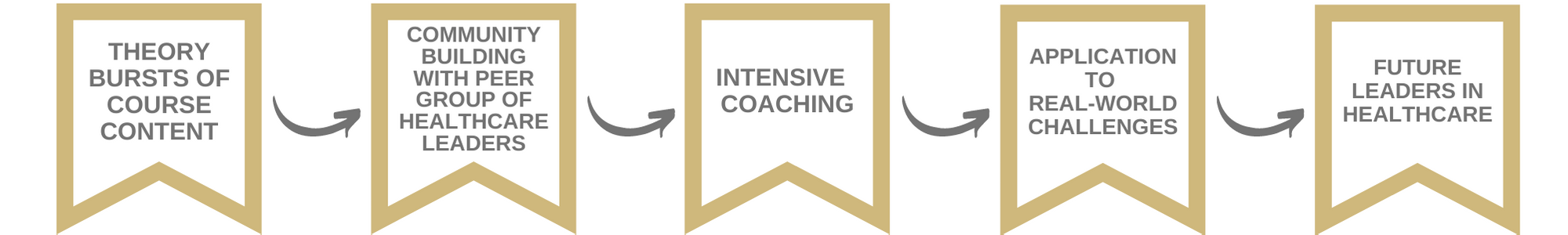 Theoryburstscommunitybuildingintensivecoachingapplicationfutureleaders