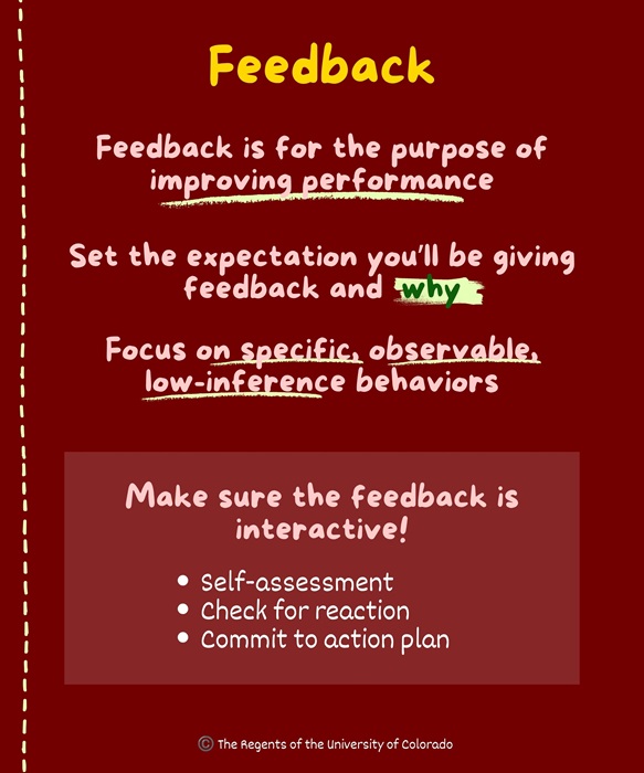 Feedback