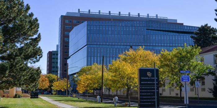 AHSBbuildingwithfalltrees