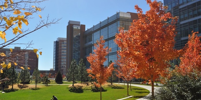 Glassbuildingwithredmapletrees