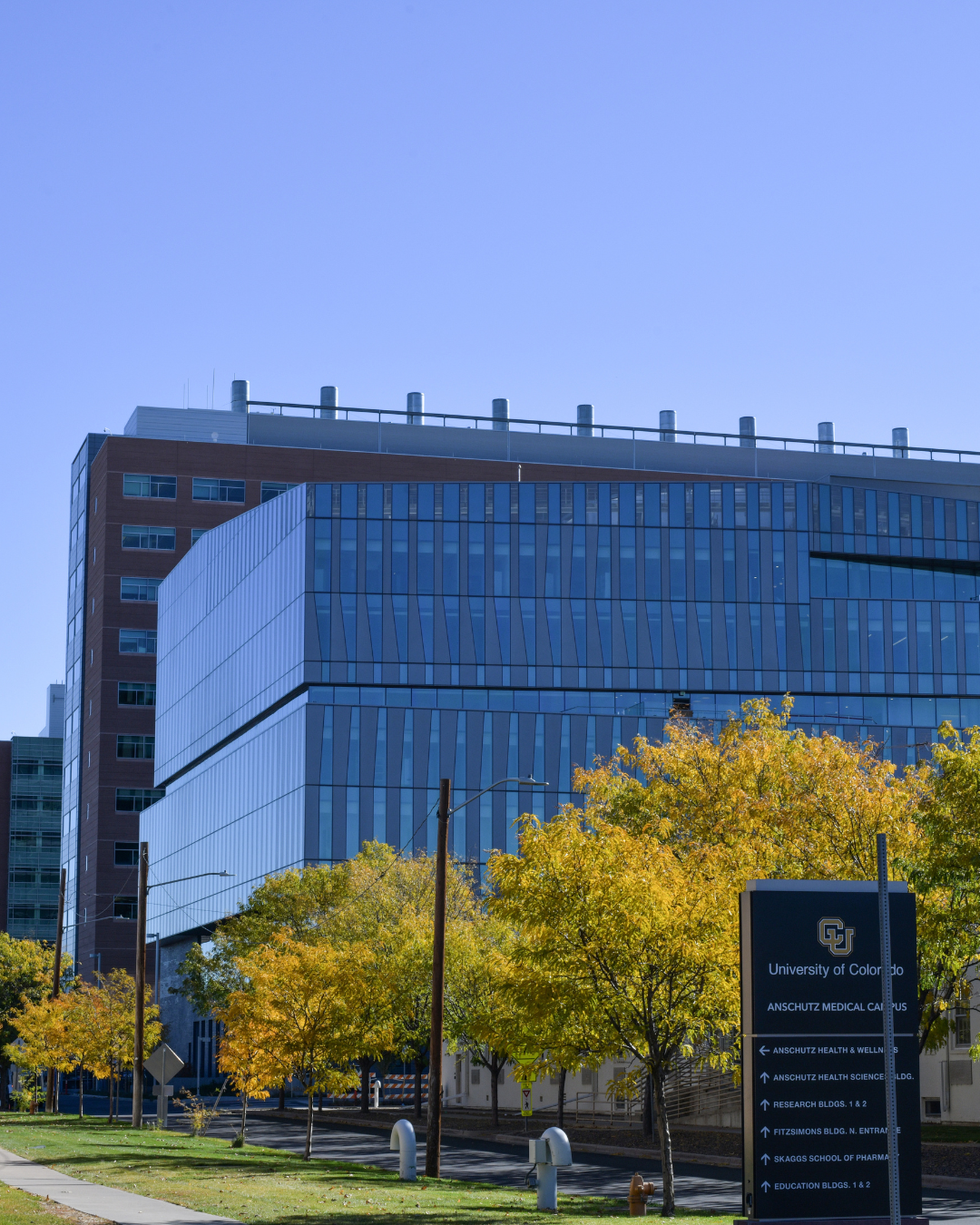 glassuniversitybuildingagainstablueskywithfallfoliageintheforeground