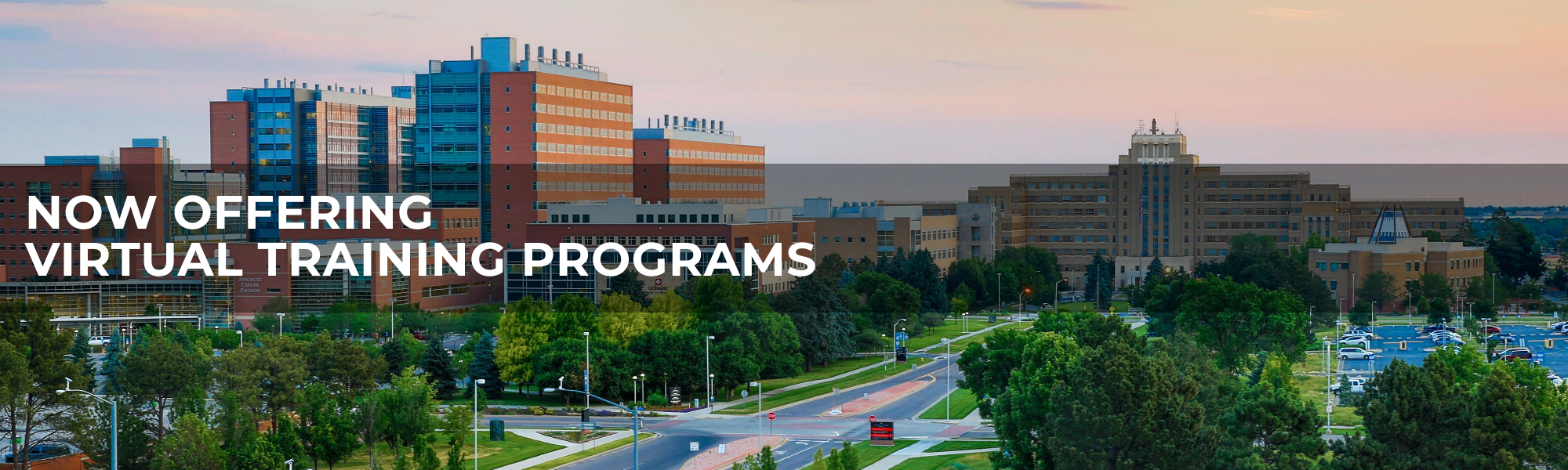 OFFERINGVIRTUALTRAINING