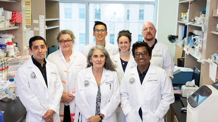 Groupofdoctorsstandinginalabsmiling