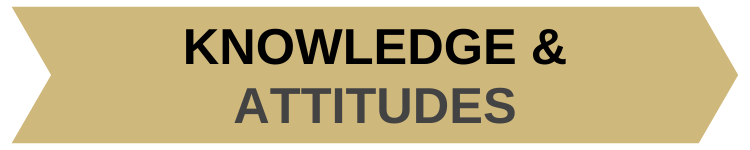 Knowledgeattitudes25x5