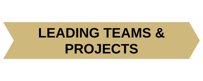 Leadingteamsandprojects