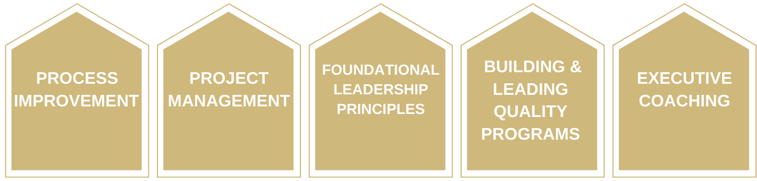 project management, process improvement, foundational leadership principles, skills to build programs, executive coaching
