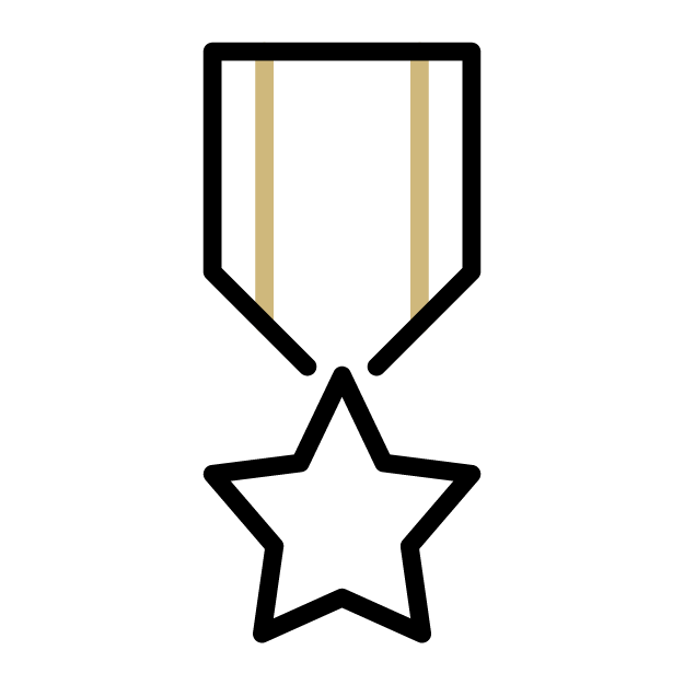 Icon of a star shaped medal