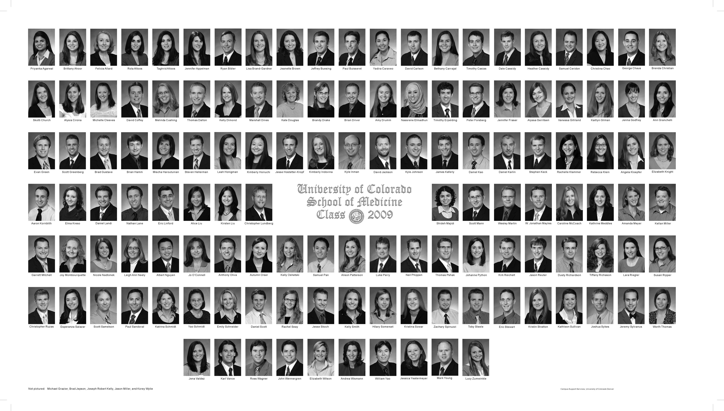 MEDICINE_COMPOSITE_2009