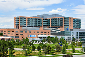 CHC300