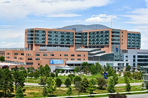 CHC300