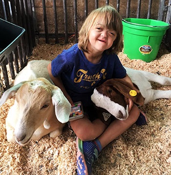 cranioGoatsbeforeBigSurgery