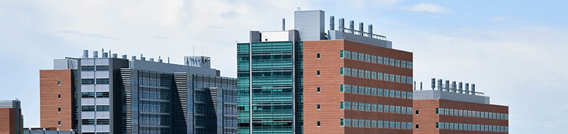 topsofcampusbuildingsinthinphoto