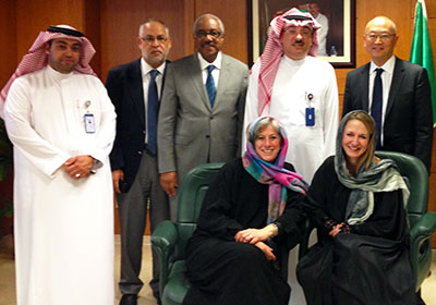 mers-400