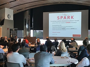 spark-350
