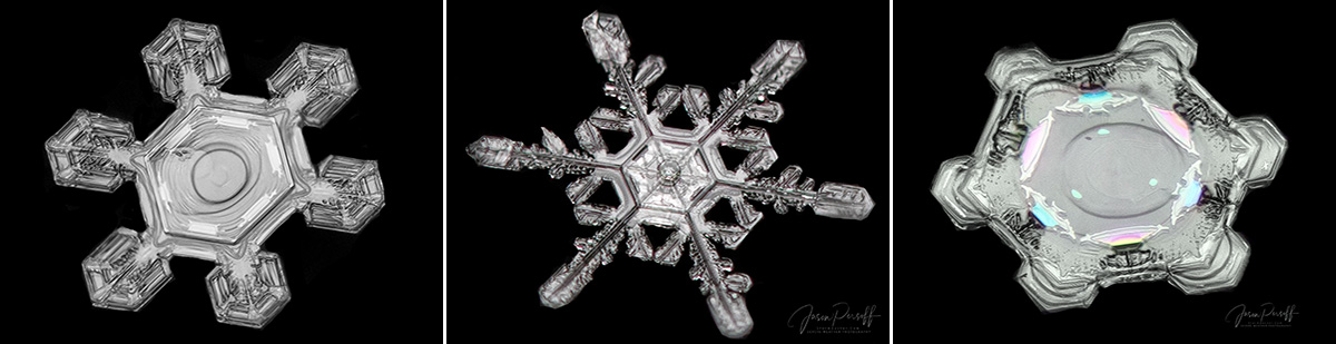 snowflake collage