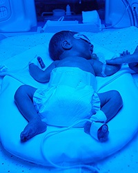 babbyinnicu