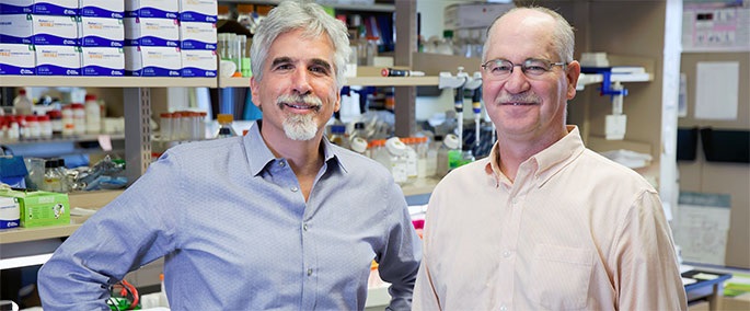 Rosen-Colgan-2017-685