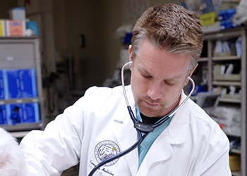 DoctorinEDwithpatient