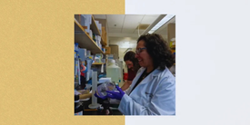 Investigating What Causes ER-Positive Breast Cancer to Spread to the Brain