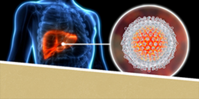 graphicincludinghumanliver