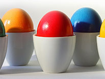 eggs-206