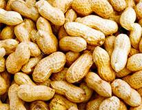 peanuts-206