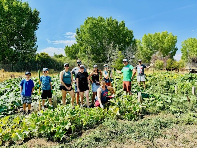 Group photo from farm volunteering (people in field)