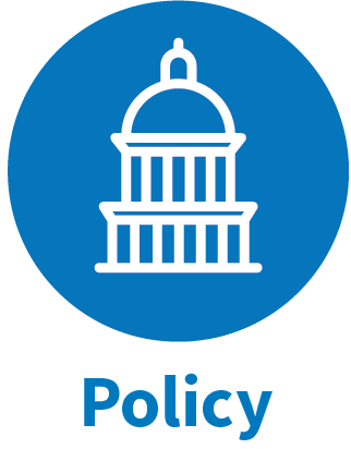 TSBM icon for policy, showing a government building with a dome in a blue circle, accompanied by the word policy below in blue