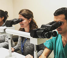 University of Colorado Family Medicine Residency residents using microscopes.