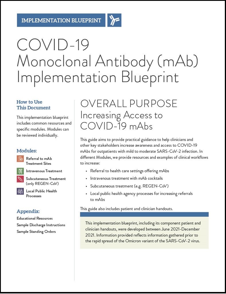mAb Implementation Blueprint1024_1_Bor