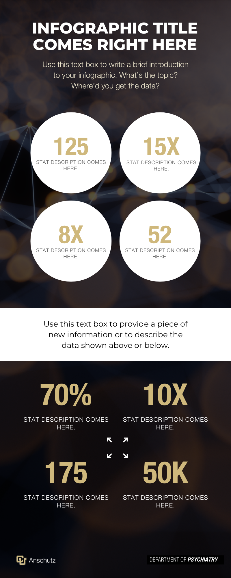 Infographic Template 3