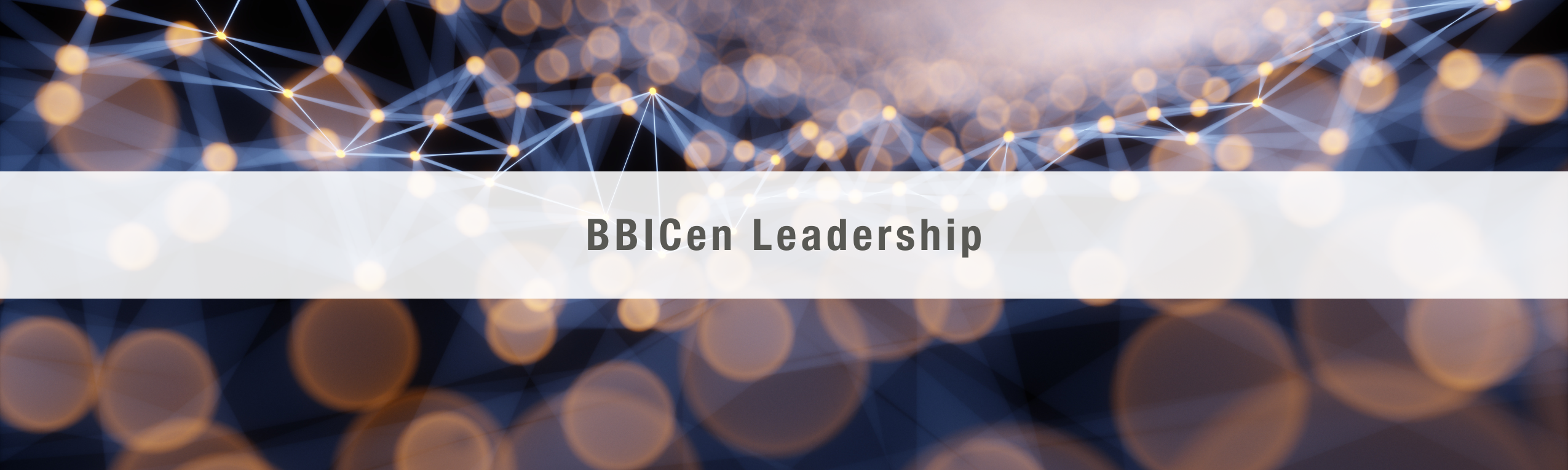 BBICen Leadership