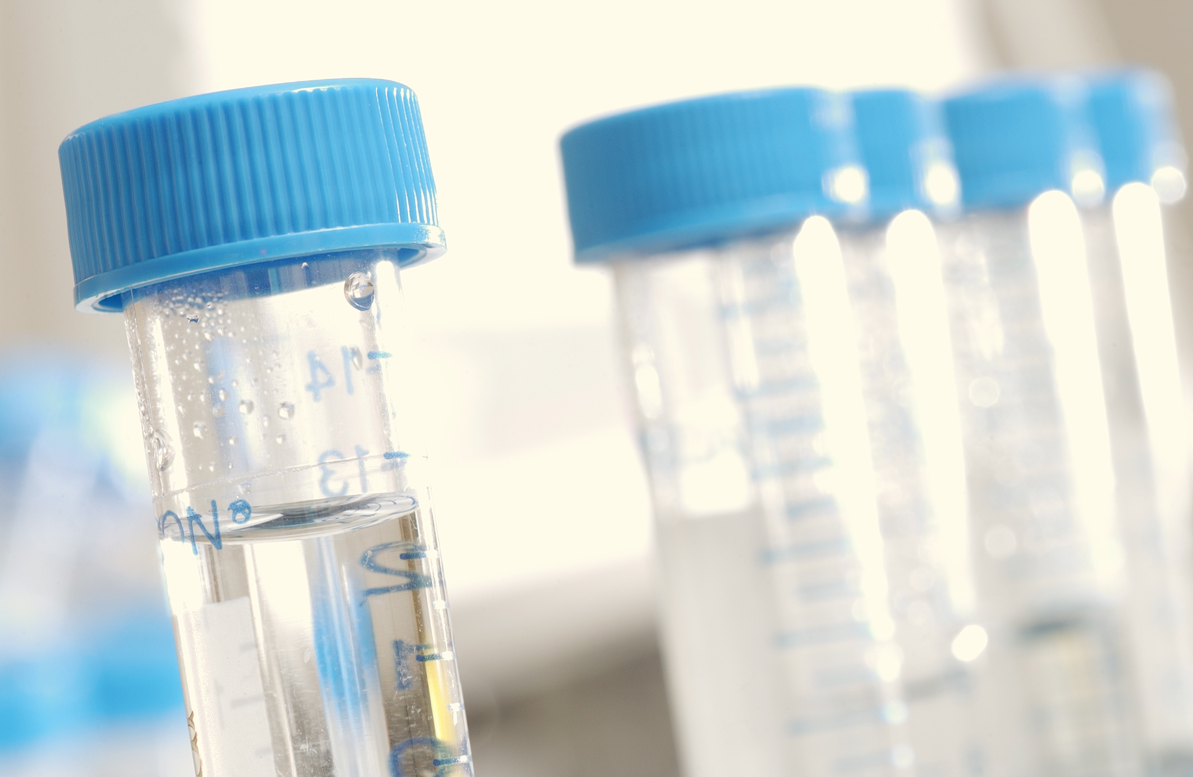 DPRG T32 Training Program