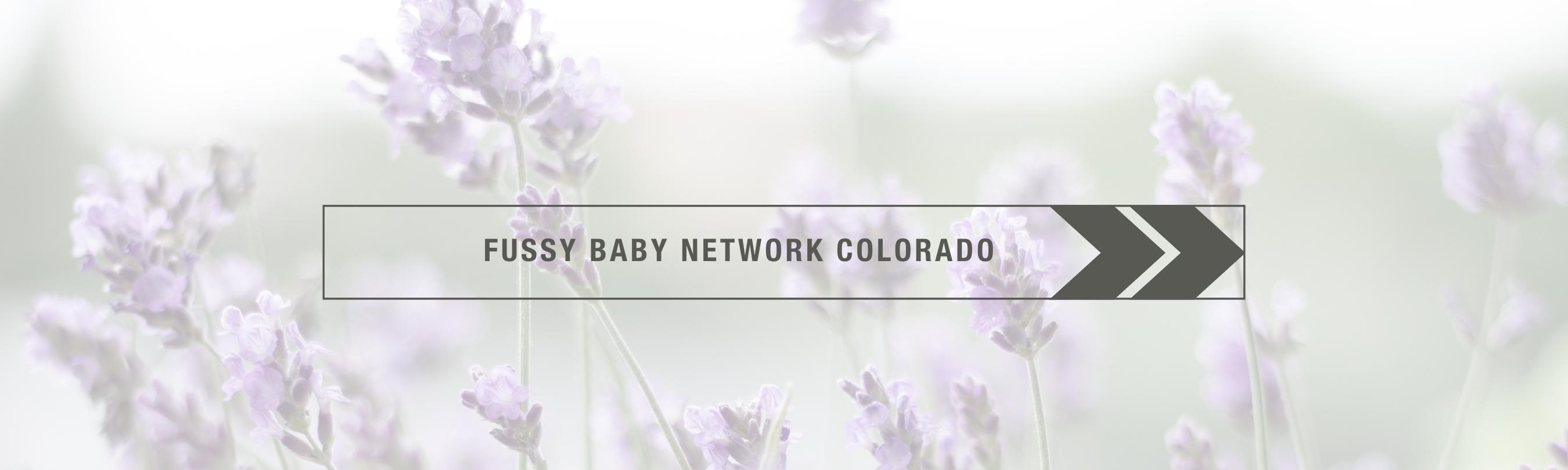 Fussy baby network in front of purple flowers