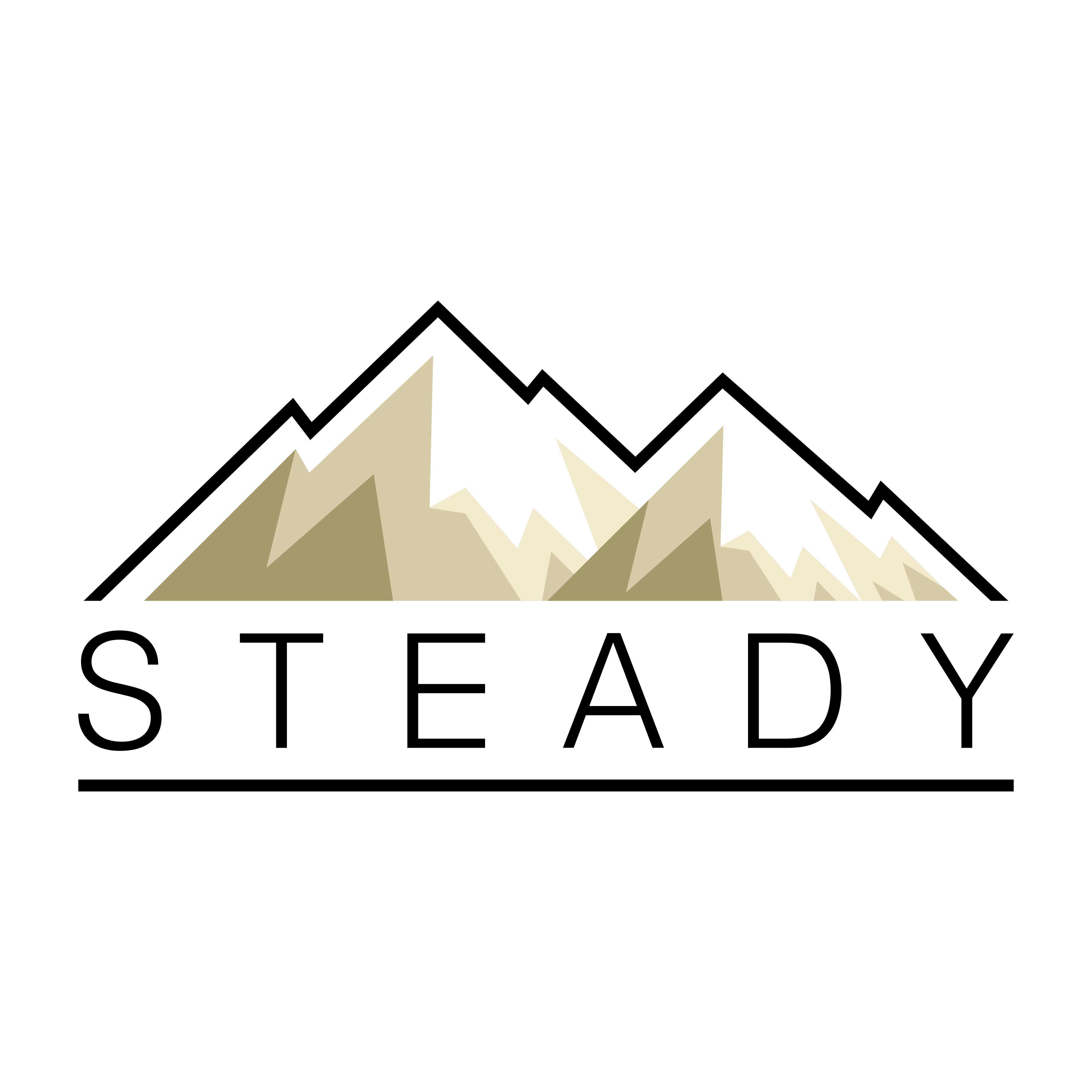 Udpated STEADY logo 6.2024