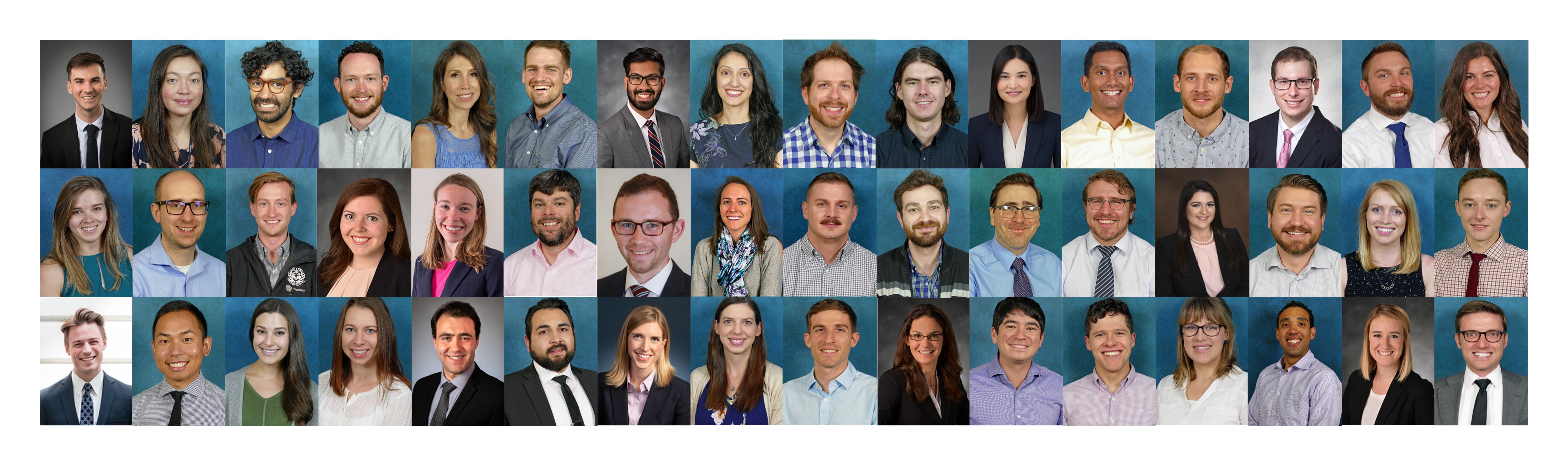 Residency/Fellowship Composite Picture 2019