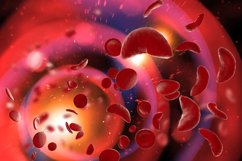 blood cells 