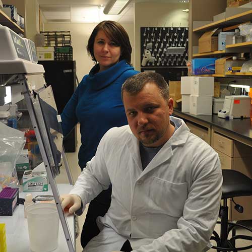 2015-Bilousova-Kogut