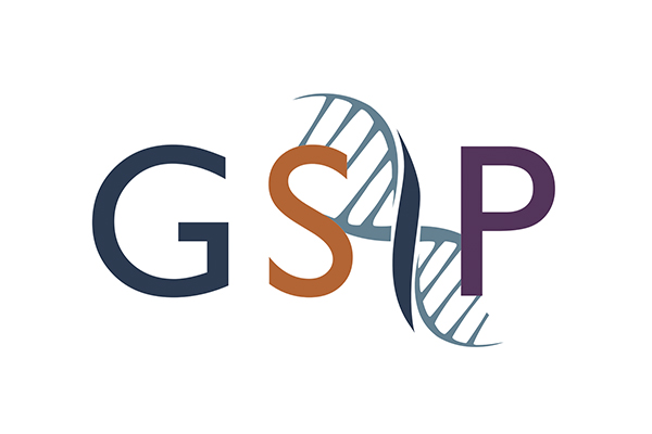 gsip logo