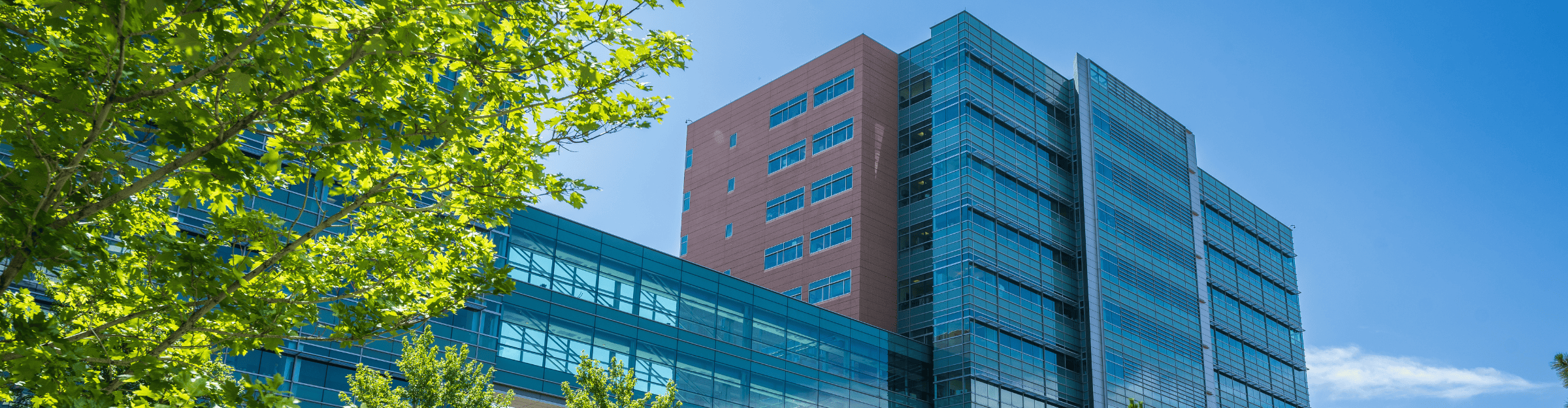 springtime outside the research buildings